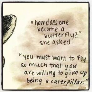 d2fdabf5b014b5e22f768b57a08b362d--flying-quotes-transformation-quotes