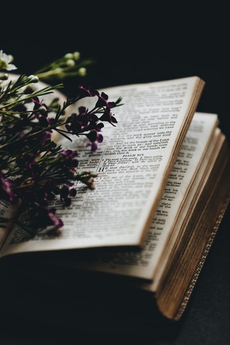 Windmills In My Mind