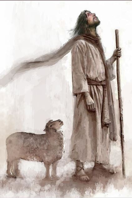 3981435b1896c538ce4546eaa85ac566