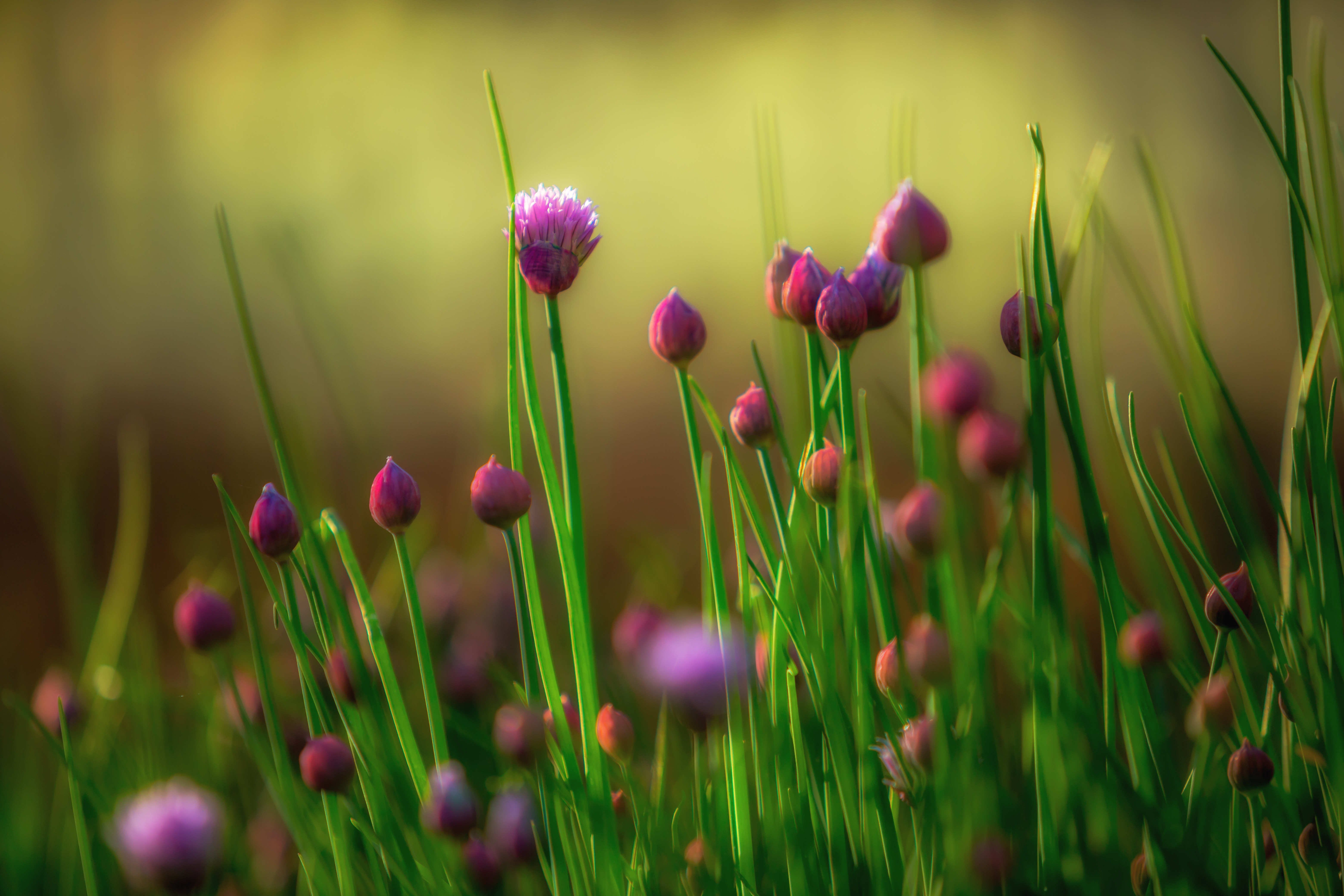 The a, b, c's of Believing