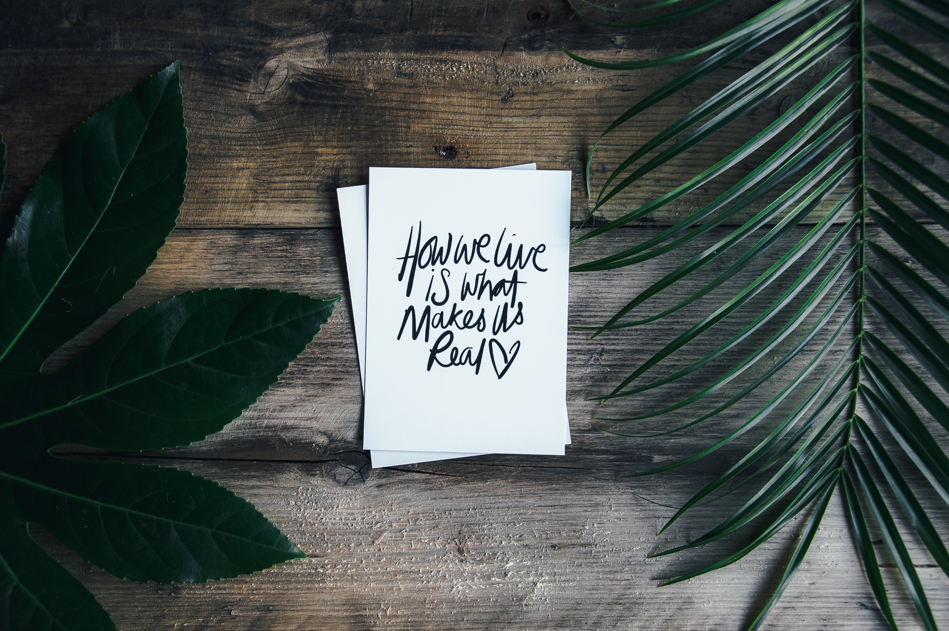 Resilient Hope