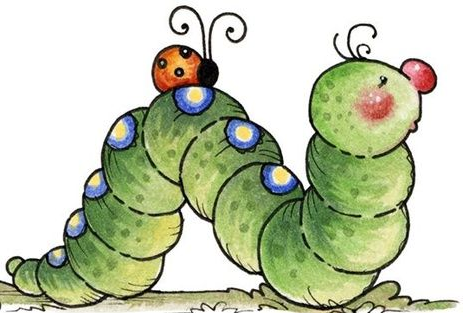 Aviary Photo_131148396181265841