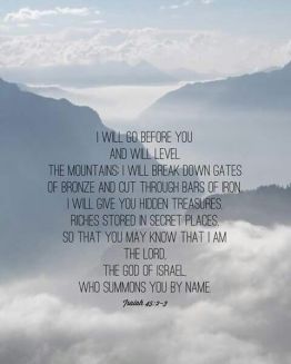 3e252b711a37e36f53e180e2eba035f9