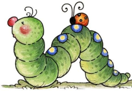 Aviary Photo_131148396786868564