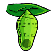 chrysalis-clipart-butterfly-pupa