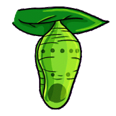 chrysalis-clipart-butterfly-pupa