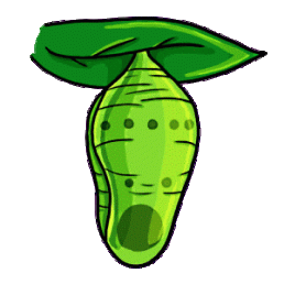 chrysalis-clipart-butterfly-pupa