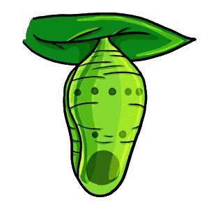 chrysalis-clipart-butterfly-pupa
