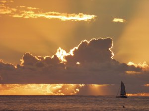 Navigating This Storm